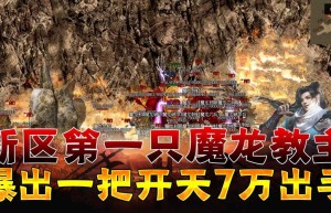 私服网站大全，传奇sf手游开服网站（无限元宝满vip手游）