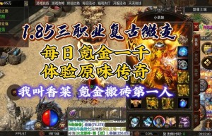 1.85传奇似发服网，传奇新服网（1.80传奇手游发布网站）