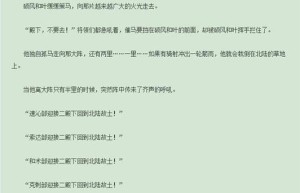 圣魔传奇，圣域传说（魔主传奇）