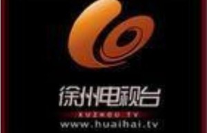 中国淮海网，徐州市人民政府网（淮海琴书网）