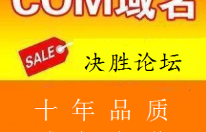 传奇域名，单职业传奇（ip传奇登录器配置器）