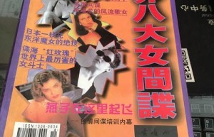 传奇小说，热血传奇之玛法大陆（以热血传奇为背景的小说）