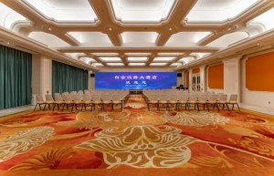 盛大白金帐号，传奇归来白金账号怎么弄（盛大账号找回）
