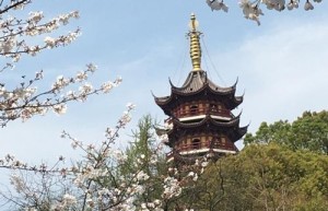 蓝月至尊版巨龙战歌官网，上海雪鲤鱼蓝月至尊版（甄子丹代言蓝月至尊版官网）