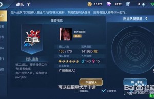 战队系统，王者荣耀的战队是干嘛的（cf战队权限从大到小）