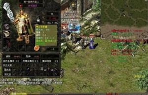 盛大传奇3外挂，传奇世界挂机辅助免费版（盛大棋牌透视挂）