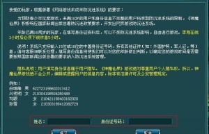 盛大防沉迷，网络游戏防沉迷系统平台（最新网络游戏防沉迷系统）
