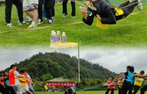 全部游戏，所有游戏大全免费（全部游戏免费秒玩）