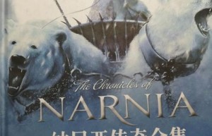 尼亚传奇，纳尼亚传奇为什么不火（艾诺迪亚4官方中文版）