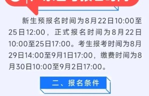 精品辅助官网，辅助岛（游戏辅助官网）