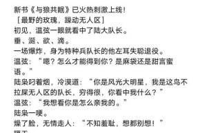 流氓传奇，流氓高手（我就是流氓）